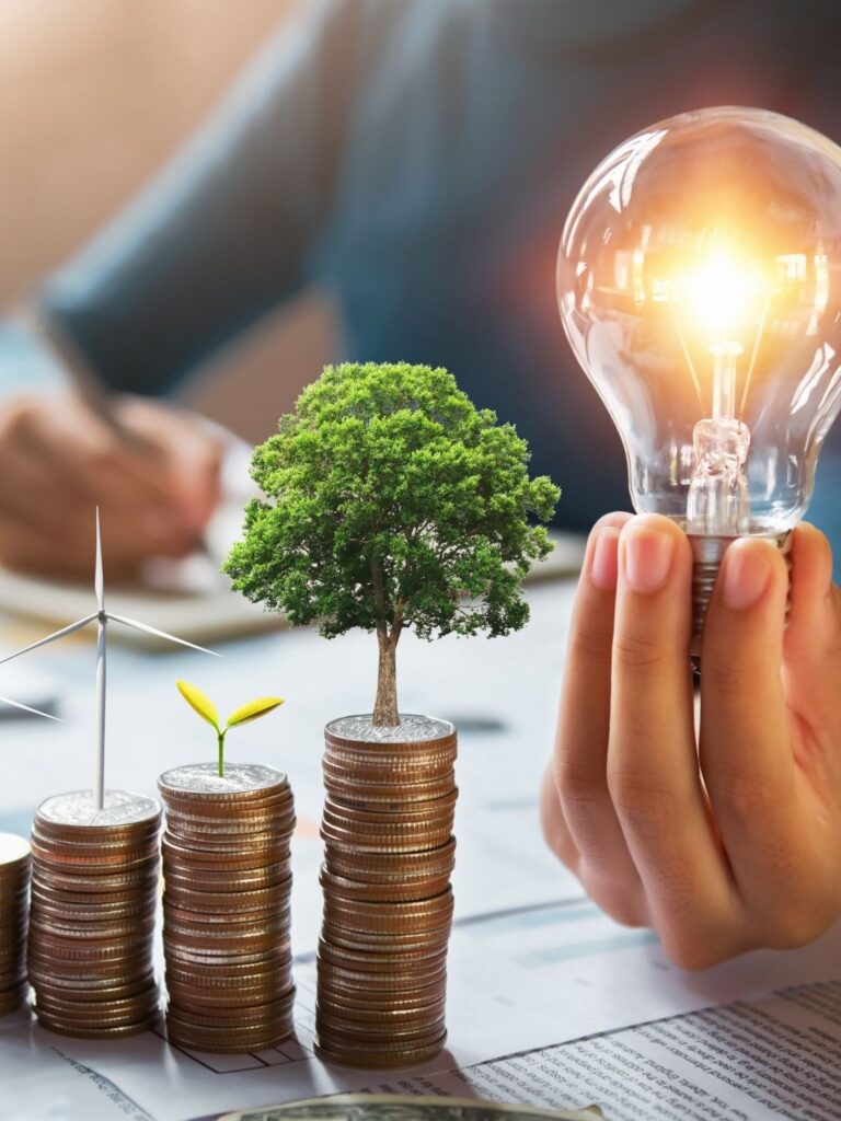 BIZ Starup Accelerator steht für: E-Mobilität Infrastruktur Erneuerbare Energien Energiespeicher und Batteriesysteme Energieeffizienz für Industrieanlagen und Immobilien Digitale Energie-Management-Lösungen & KI