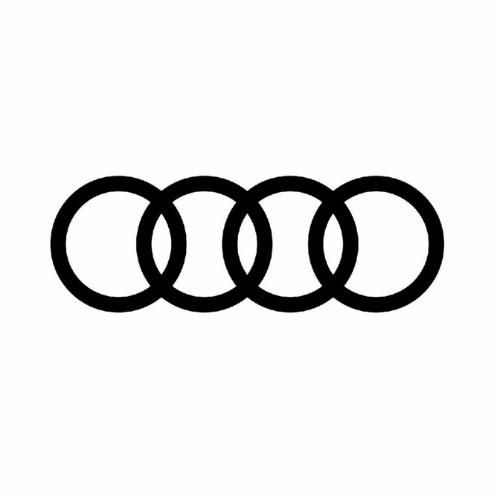 BIZ Startup Accelerator cooperation with Audi